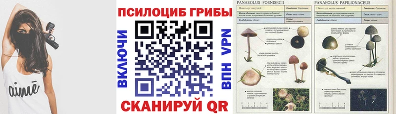 наркотики  Себеж  Псилоцибиновые грибы Magic Shrooms 